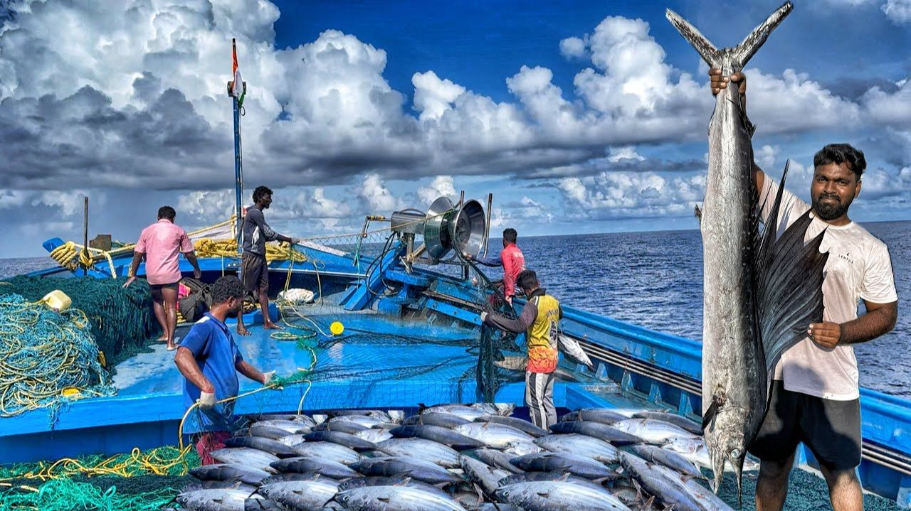 На двенадцатый день мы остались в открытом море и поймали огромную рыбу / Рыбалка в открытом море смотреть онлайн