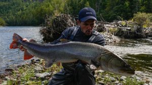 Ловля ленка на Дальнем Востоке. Часть 4. Ленок сплавом и таймень на лайт