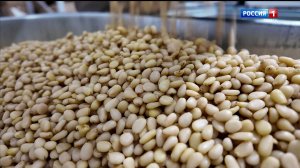 Вести-Томск, выпуск от 14.01.2026 11:30