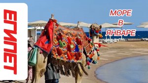 МОРЕ В ЯНВАРЕ. ЕГИПЕТ ОТЕЛЬ WHITE VALLEY PALACE 4*ХУРГАДА