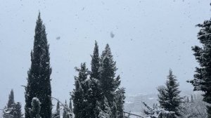 Ялта. И Старый Новыйгод со снегом! Зима, давай, давай, до свиданья! 13.01.2026. Крым. Crimea. Yalta.