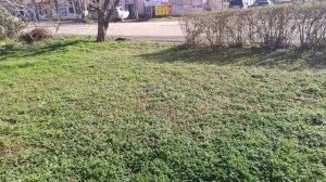 Один из дней города Евпатории | 9 февраля 2021 г | Крым | ХАН БАТОН XAH 6ATOH / VID_20210209_135222