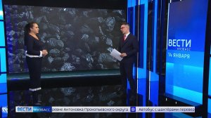 Эксперт рассказала, насколько выгодна Кузбассу переориентация с добычи угля на другие ископаемые