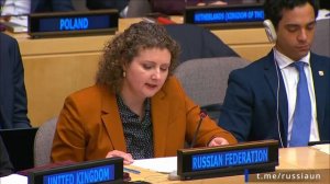 А.М.Евстигнеева в ООН Укрепление инклюзивных и устойчивых подходов к достижению мира, 12 января 2026