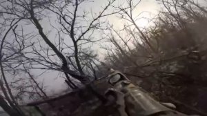 Архив. Осень месяц Ноябрь.