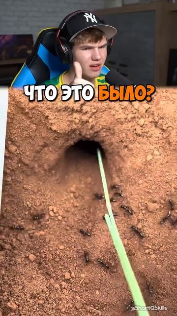 Люди Боятся Этого ЖУТКОГО Существа! 😳👀 #shorts #шортс #интересно #хоррор #страшно #прикол #мем смотреть онлайн