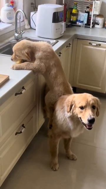 Командная работа смотреть онлайн