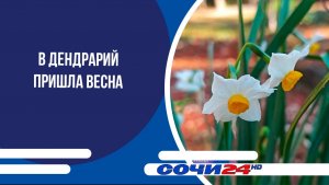 В Дендрарий пришла весна