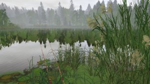 Русская Рыбалка 4 За лещами на ст. Острог