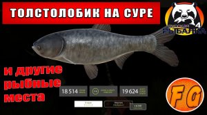 Толстолобик на Суре и МНОГИЕ ДРУГИЕ РЫБНЫЕ МЕСТА. Русская рыбалка 4. рр4. Russian Fishing 4