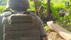 Тайские Солдаты На Границе Камбоджа