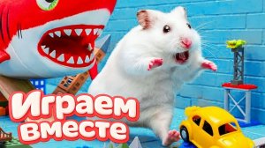 ЛАБИРИНТ С ЛОВУШКАМИ ДЛЯ УМНОГО ХОМЯКА 🐹 ВИДЕО ПРО ХОМЯКА ДЛЯ ДЕТЕЙ ! ЧАСТЬ 4