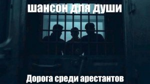 ПЕСНИ ДЛЯ ДУШИ┃ШАНСОН┃Дорога среди арестантов