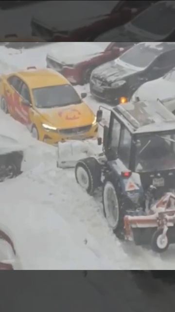 снега в этом году много ❄️ смотреть онлайн