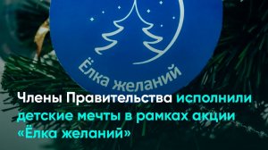 Члены Правительства исполнили детские мечты в рамках акции «Ёлка желаний»