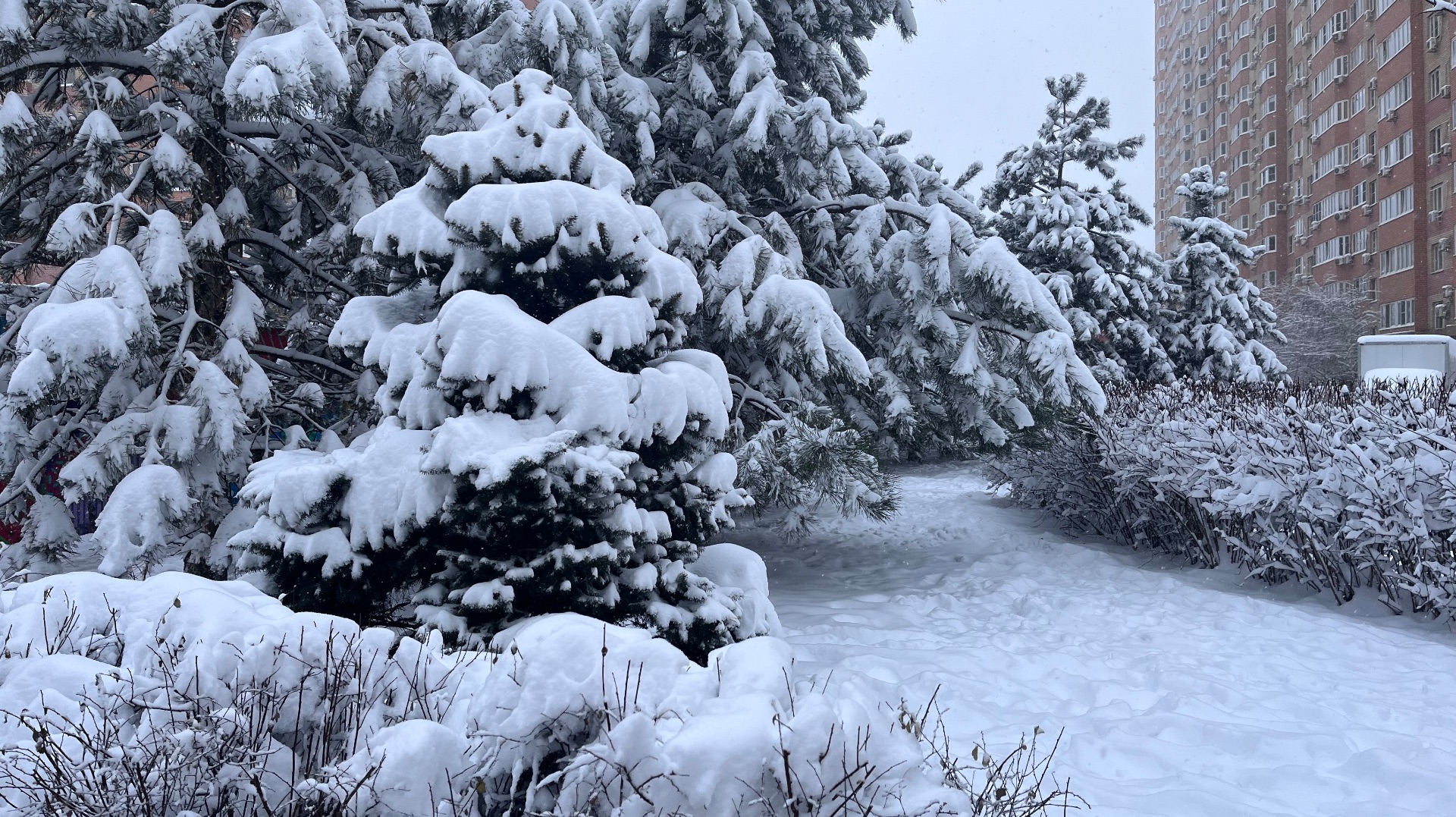 ДОЛГОЖДАННЫЙ СНЕГ В КРАСНОДАРЕ !!! смотреть онлайн