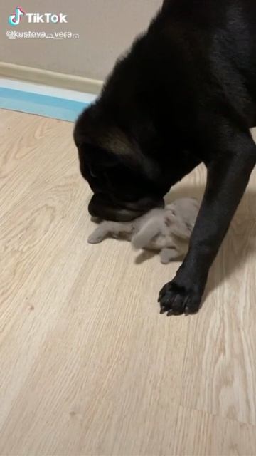 Клип 😅 смотреть онлайн