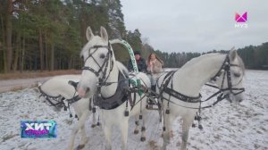 Три белых коня - Тройка МКЗ №1 на канале Муз-ТВ