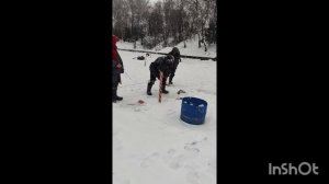 14.01.26 Зарыбление Спорт зоны.