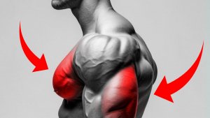 Как сделать грудные и трицепсы толще: используйте эту тактику