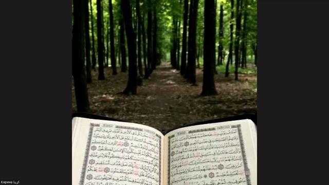 итоги марафона с особенными детьми 2025 смотреть онлайн