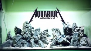 Каменный хардскейп - наше аквариумное всё! Основы построения аквариумной композиции.