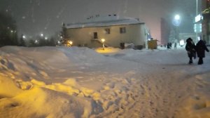 Заметает снегом. Январь  | © 2026