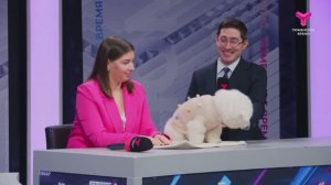 Собака в пуховике: забота или необходимость?