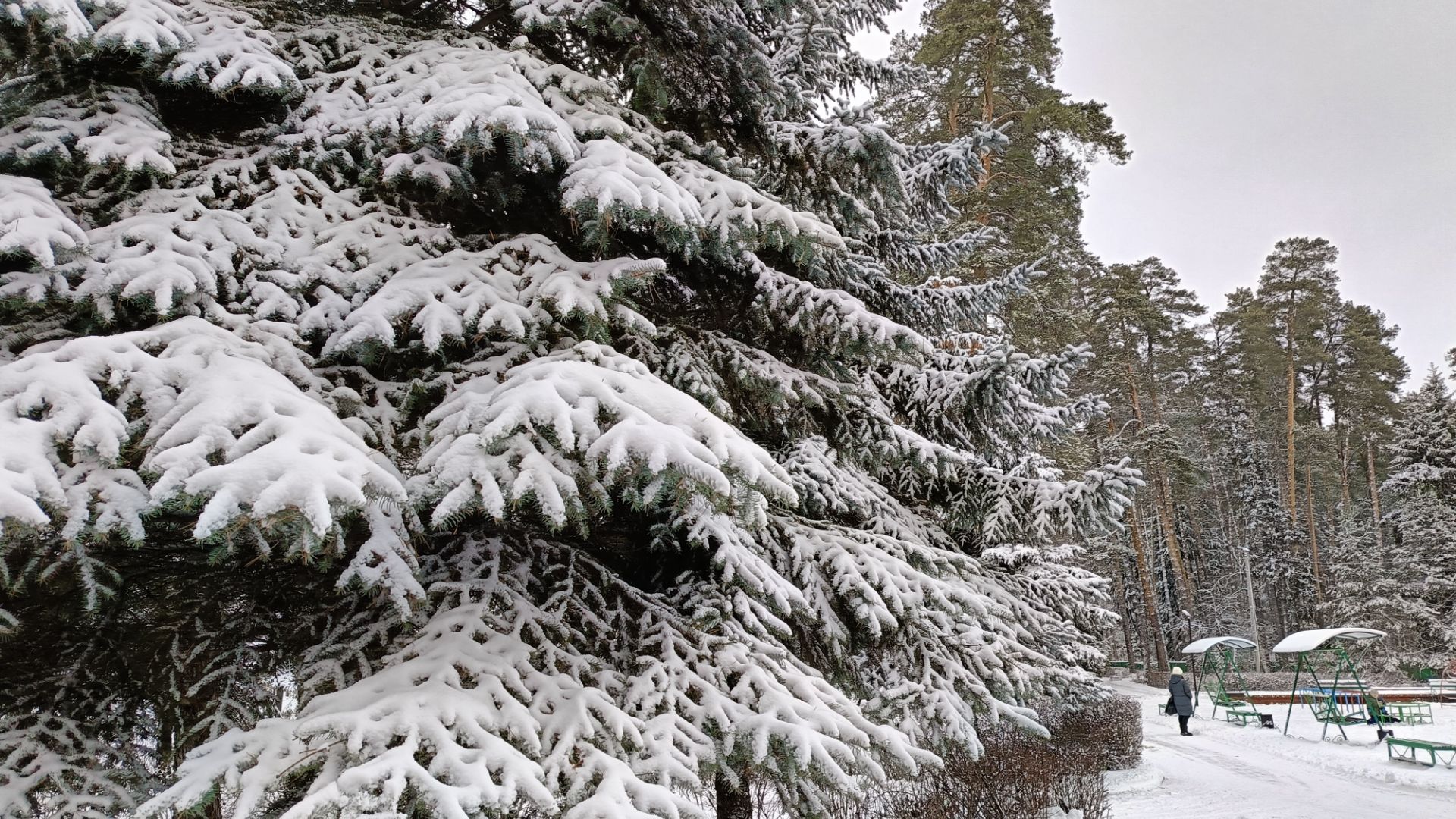 Я ЖИВУ СРЕДИ ВОЛШЕБНОЙ КРАСОТЫ смотреть онлайн