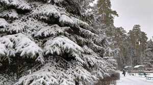 Я ЖИВУ СРЕДИ ВОЛШЕБНОЙ КРАСОТЫ