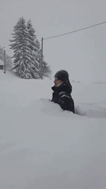 богата на снег в этом году зимушка зима смотреть онлайн