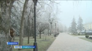 Сильных осадков на Ставрополье не ожидается