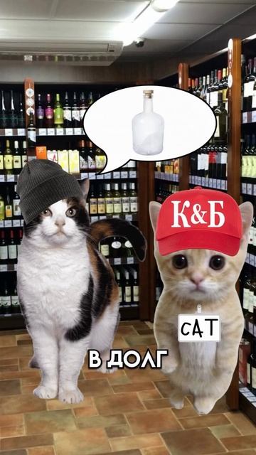 Один день работы в кб