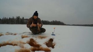 Рыбалка на жерлицы, на льду много воды и снега.
