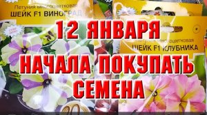 12 января. Сезон покупки семян открыт
