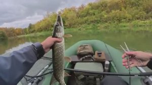 СЕКРЕТНАЯ ПРОВОДКА, ПРО КОТОРУЮ ВСЕ ЗНАЮТ, НО МАЛО КТО ИСПОЛЬЗУЕТ ! ЩУКА ДУРЕЕТ !