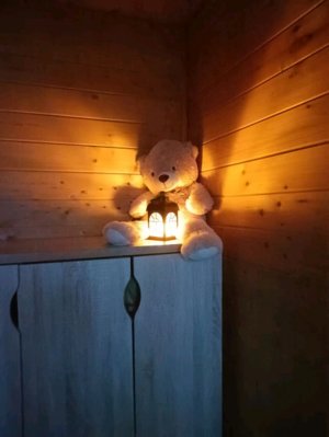 разыгрываю петов в адопт ми мой ник ASEL_333