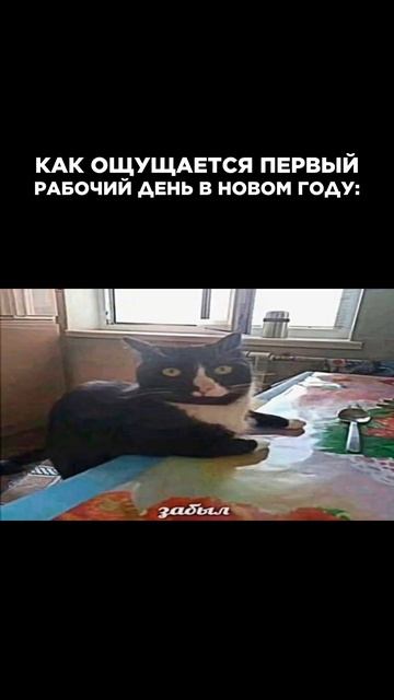 ЖИЗА? А как прошёл твой первый рабочий день в новом году? #новыйгод2026 #работа #офис #офисныйюмор смотреть онлайн