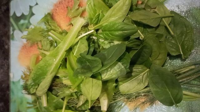 Необычный суп из требухи. Рецепты для диабетиков Необычный суп из требухи. Рецепты для диабетиков