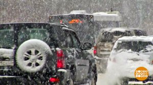 Снег идет, а мы едем. Доброе утро. Фрагмент выпуска от 14.01.2026