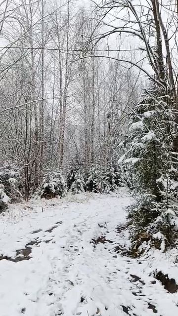 #зима лесная сказка смотреть онлайн