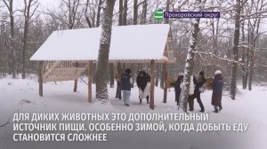 В Прохоровском округе на территории заказника «Тетеревино» построили подкормочную площадку
