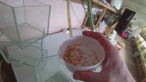 На разводне