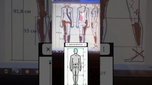 Дело Леокадии  Переваловой.Смерть в парке львов Тайган