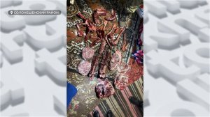 В Алтайском и Солонешенском районах выявили два случая браконьерства на косулю