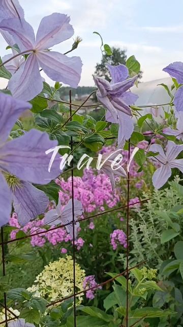 🐝🐝🐞🐞🌷🌷🌸 смотреть онлайн