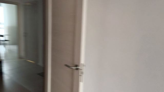 Сиреневый 41