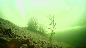 1000007914.mp4Волга гл.2м.14.01.2026г.