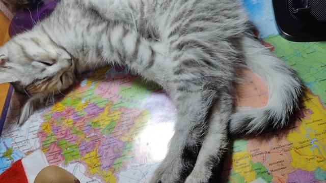 спим сладенько смотреть онлайн