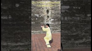 Комплекс из 42 форм Тайцзицюань